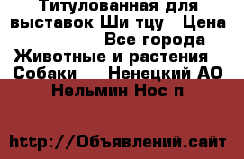 Титулованная для выставок Ши-тцу › Цена ­ 100 000 - Все города Животные и растения » Собаки   . Ненецкий АО,Нельмин Нос п.